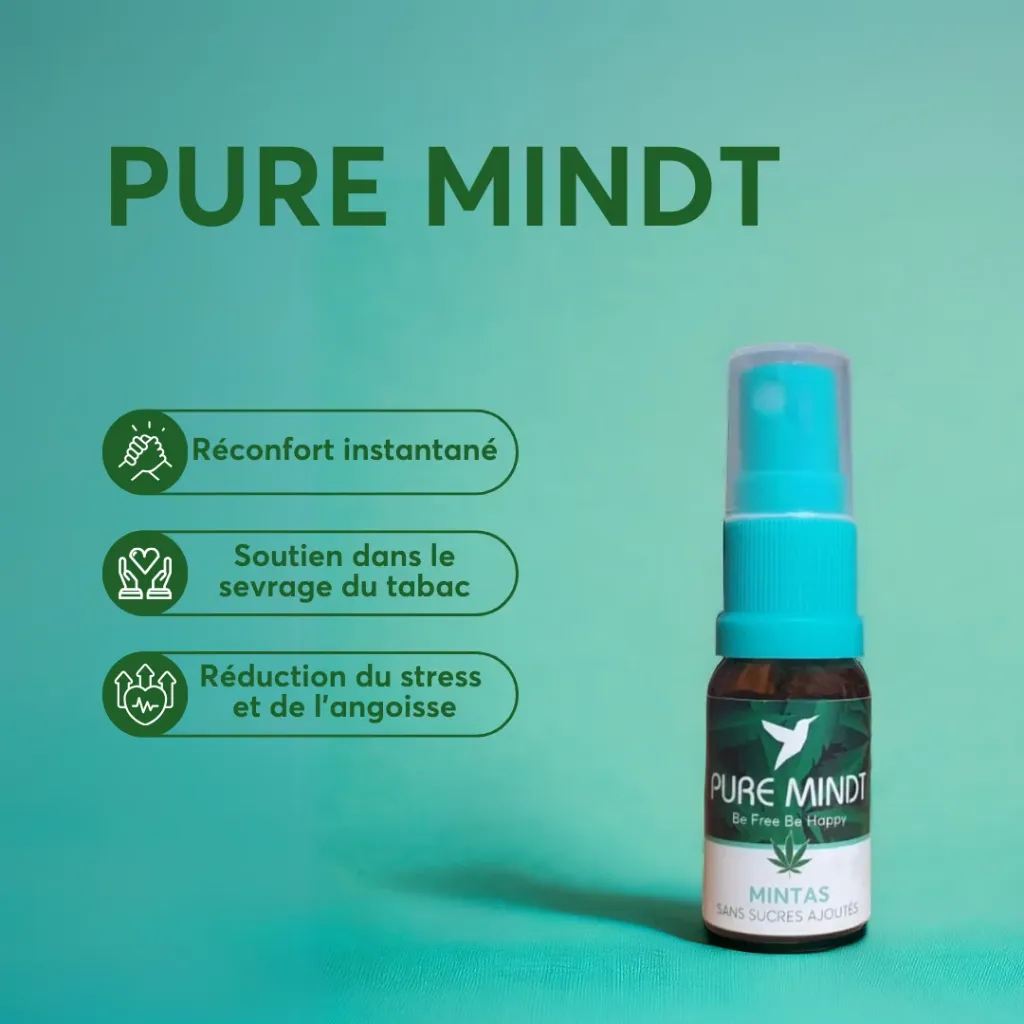 pure-mint-pureparadise.webp