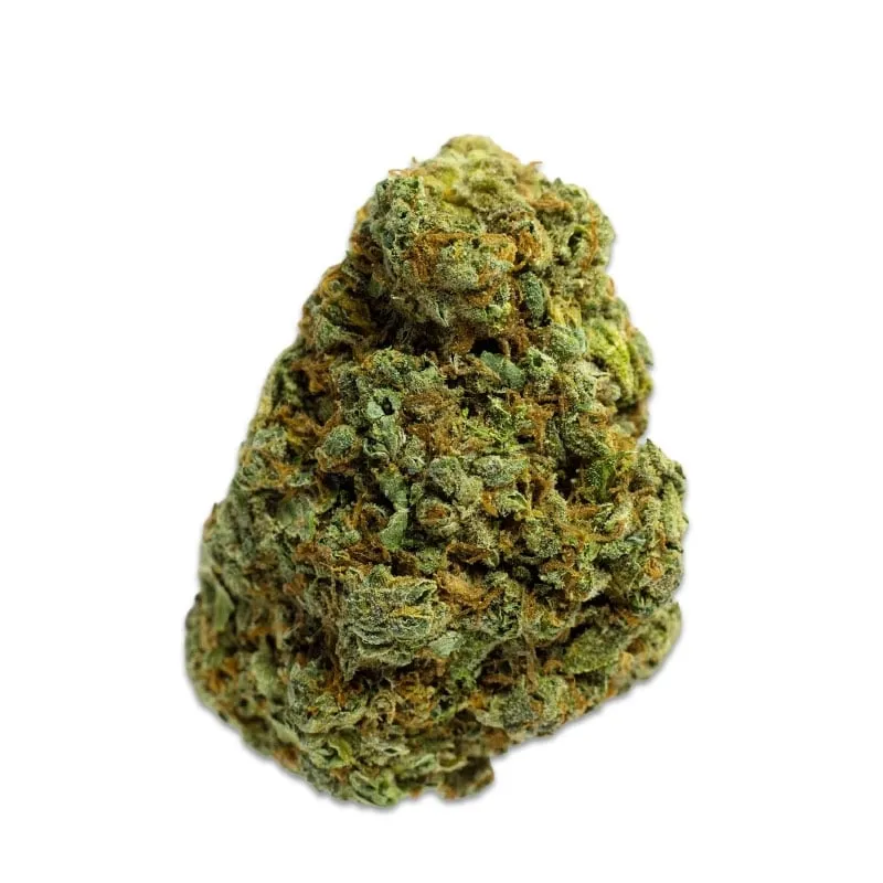 Critical M+ | Fleur de CBD